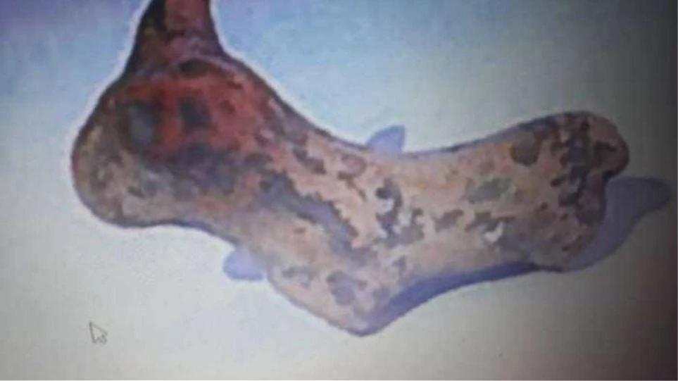 Φοιτητής βρήκε μινωικό ειδώλιο στον Ψηλορείτη και το παρέδωσε